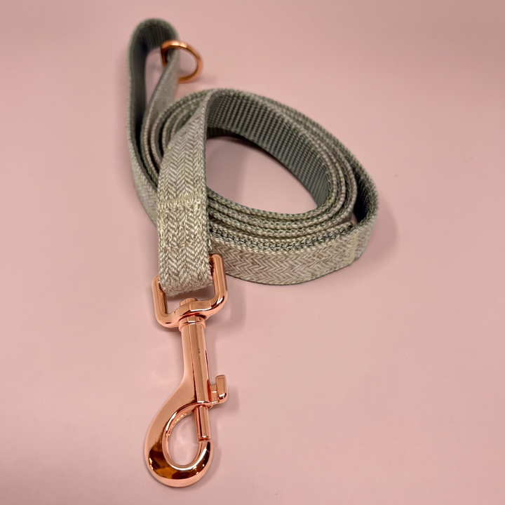 Correa para perro Bruma de Pino – Colección Naturaleza Vetoven