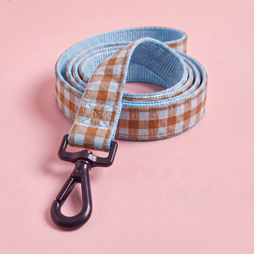 Correa Vichy Bruno para Perro – detalle del mosquetón