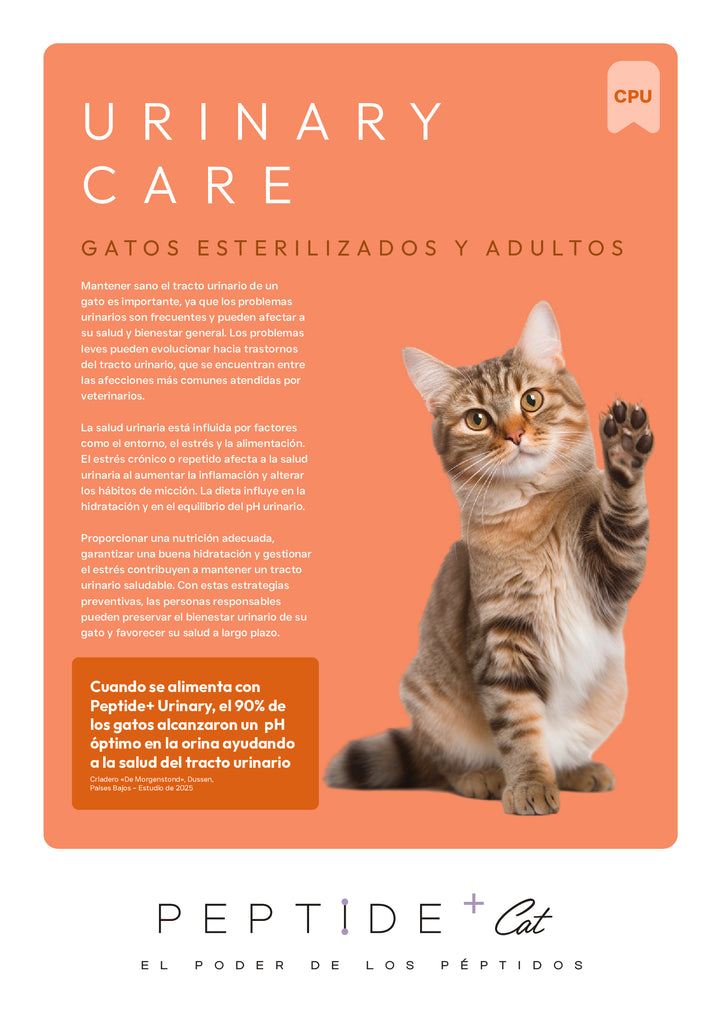 VETOVEN REAL FOOD URINARY CARE - PIENSO PARA GATO- SIN CEREALES Y 100% HIDROLIZADO