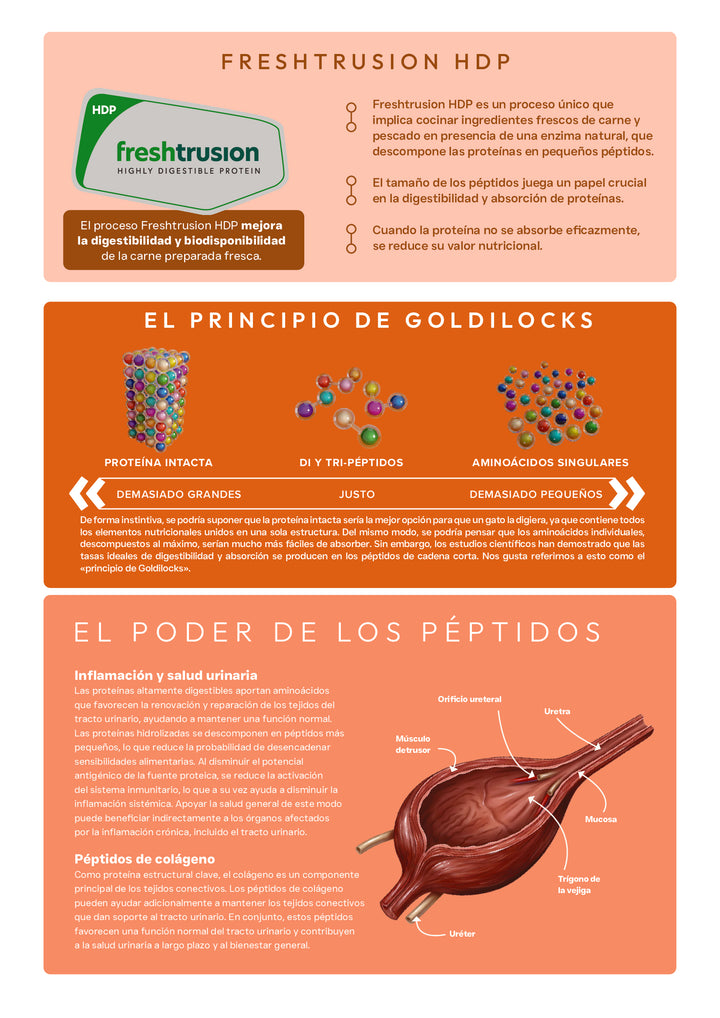 VETOVEN REAL FOOD URINARY CARE - PIENSO PARA GATO- SIN CEREALES Y 100% HIDROLIZADO