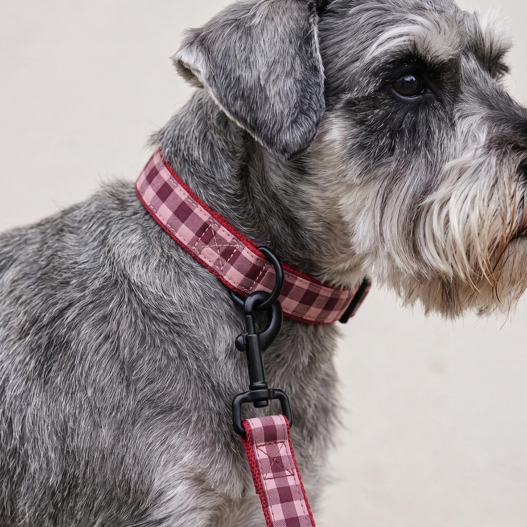 Collar Regulable Vichy Cereza para Perro | Vetoven