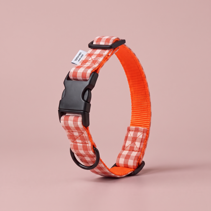 Collar Regulable Vichy Calabaza para Perro – cerrado