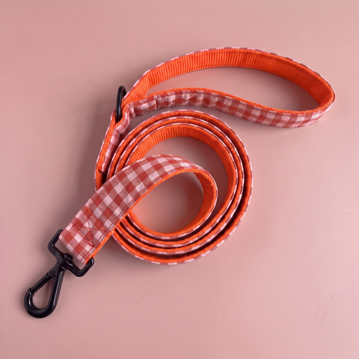 Correa Vichy Calabaza para Perro