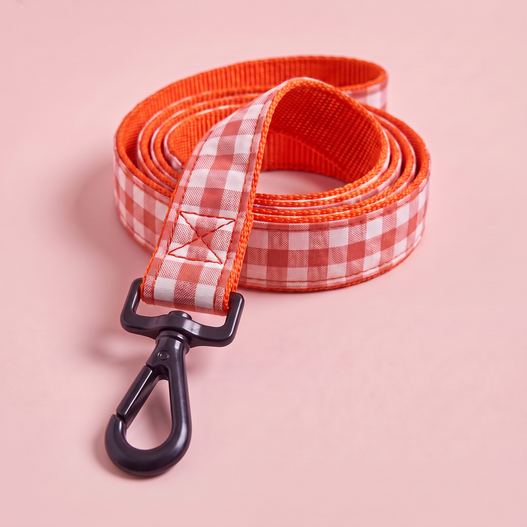 Correa Vichy Calabaza para Perro – detalle del mosquetón