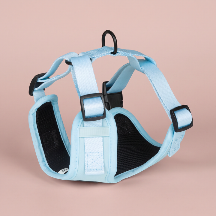 💙 Arnés “Cielo” para Perros – Colección Primavera Vetoven