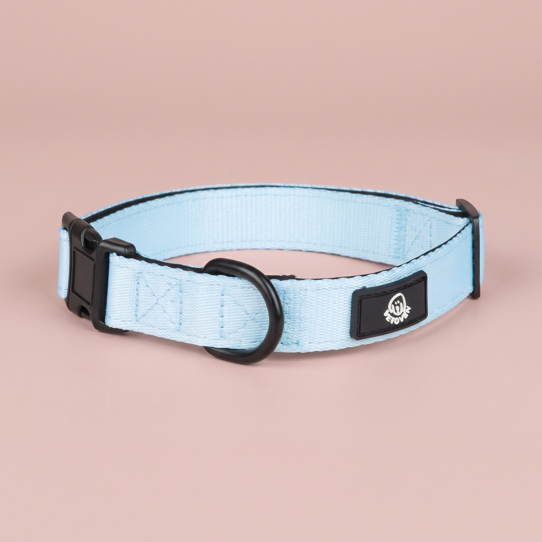 Collar Cielo para Perros – Colección Primavera Vetoven