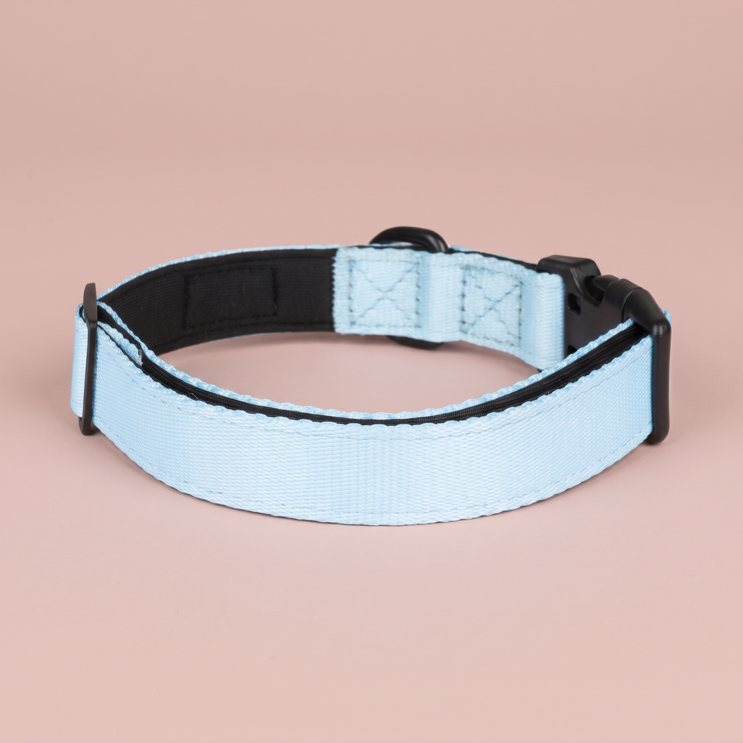 Collar Cielo para Perros – Colección Primavera Vetoven – vista 2