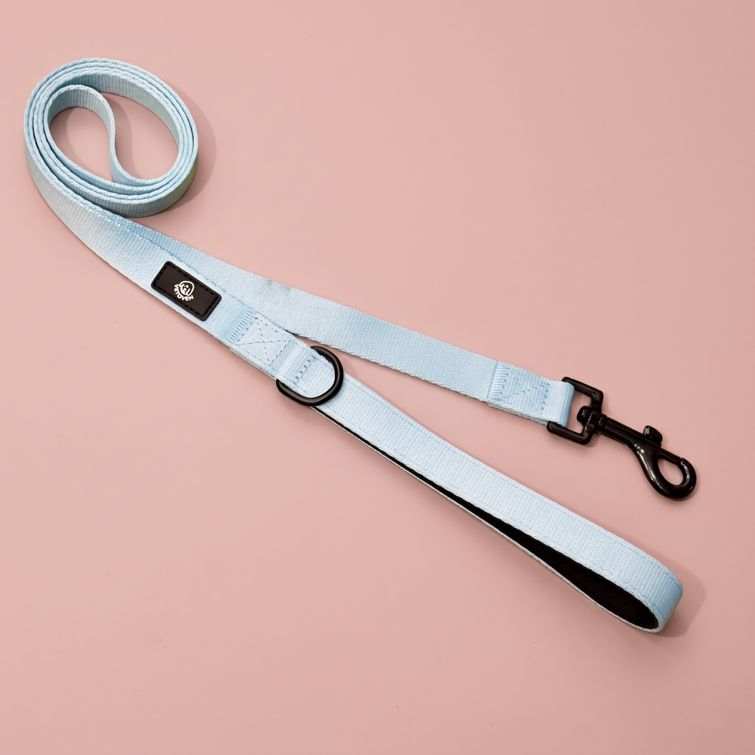 Correa para perro Cielo Vetoven – Colección Primavera