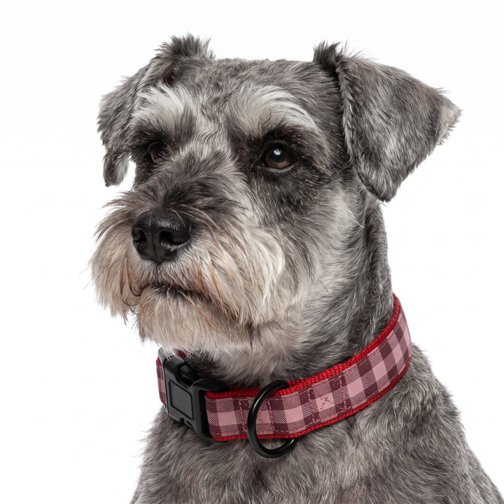Collar Regulable Vichy Cereza para Perro | Vetoven