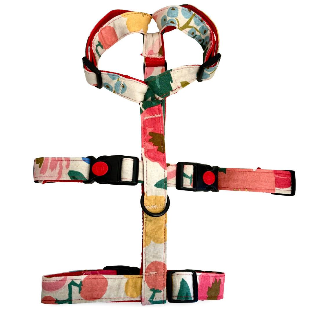 Pack de passeig complet per a gos amb arnès, collar i corretja del model Flor de Grosella