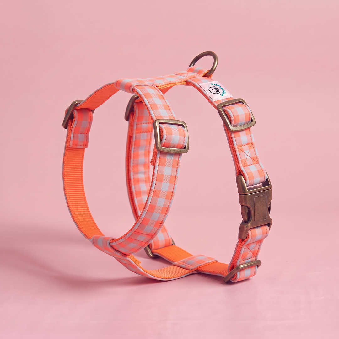 Arnés para Perros Vichy Neón Coral Pop – puesto de pie
