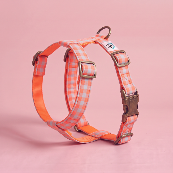 Arnés para Perros Vichy Neón Coral Pop – puesto de pie