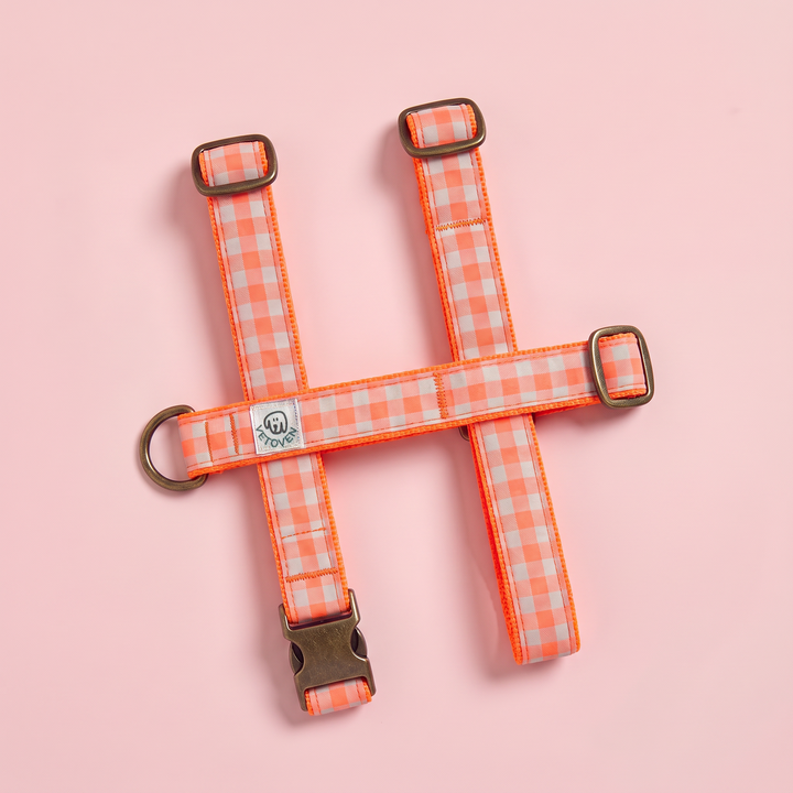 Arnés para Perros Vichy Neón Coral Pop – vista plana