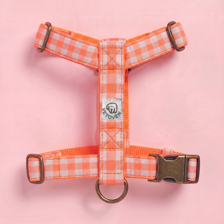 Arnés para Perros Vichy Neón Coral Pop – vista plana 2