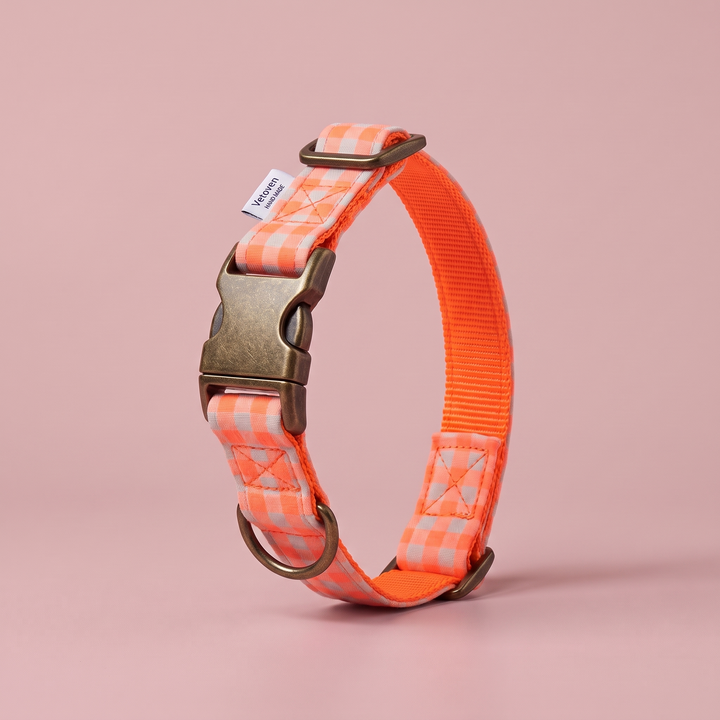 Collar para Perros Vichy Neón Coral Pop – cerrado