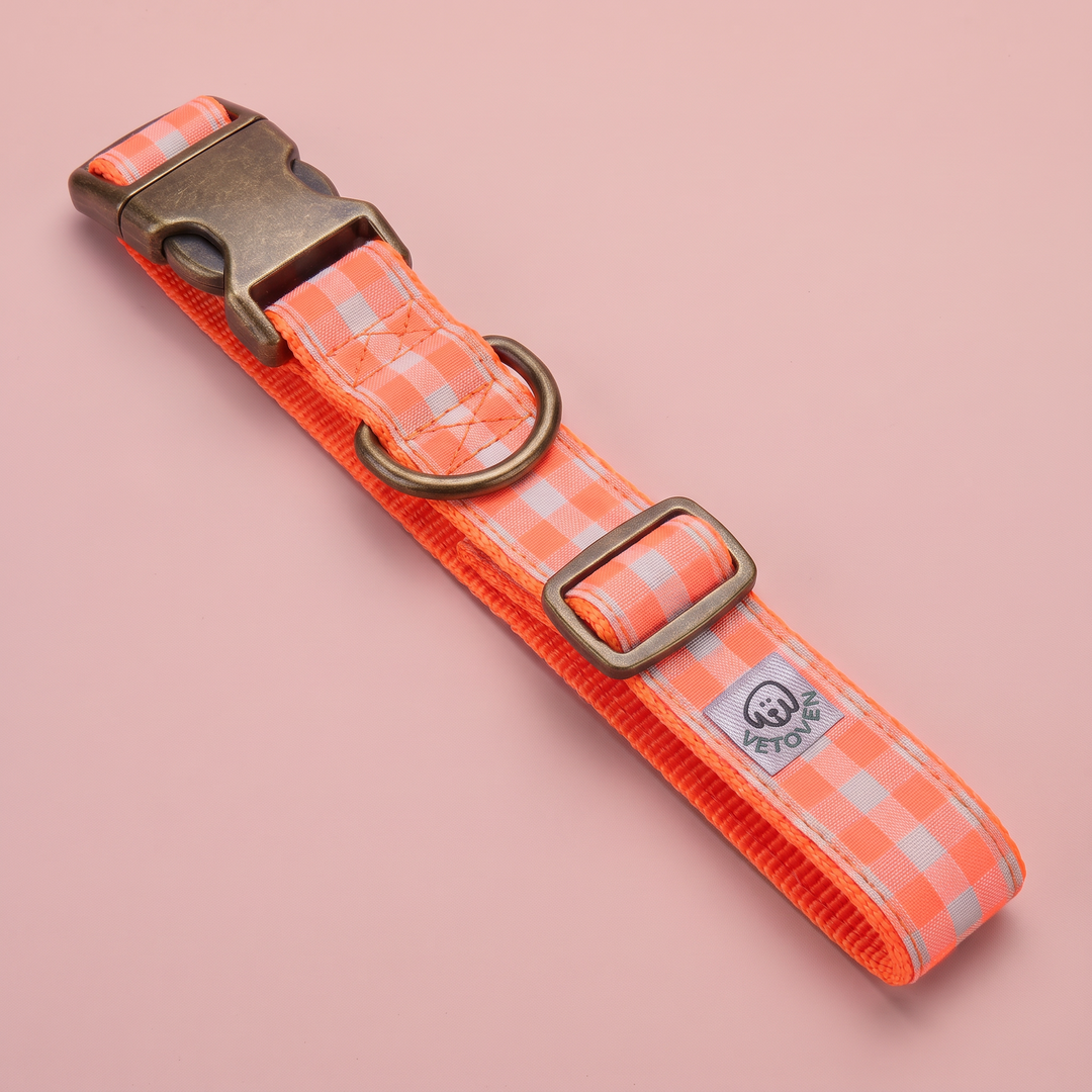 Collar para Perros Vichy Neón Coral Pop – vista plana