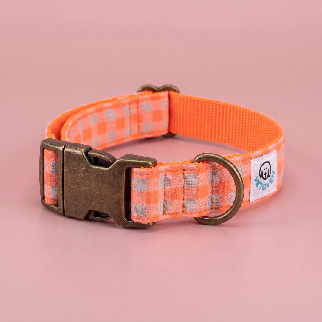 Collar para Perros Vichy Neón Coral Pop