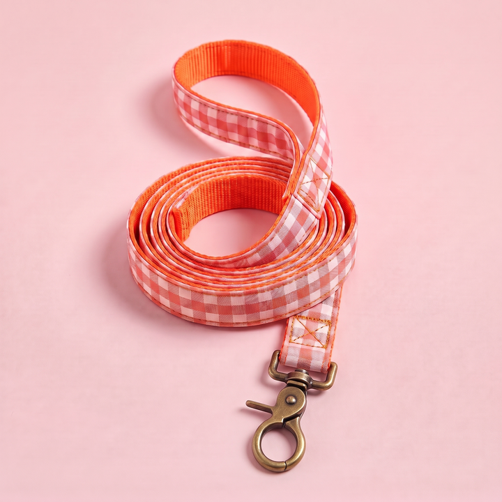 Correa para Perros Vichy Neón Coral Pop (150 cm) – enrollada
