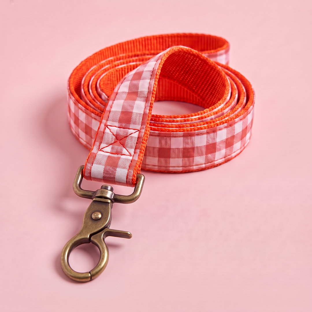 Correa para Perros Vichy Neón Coral Pop (150 cm) – detalle del mosquetón