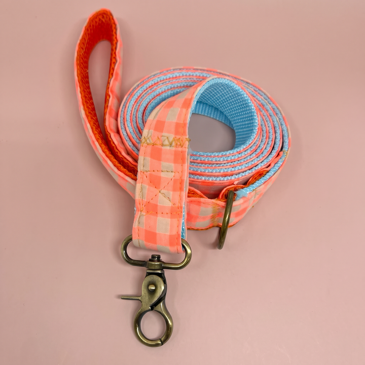 Correa para Perros Vichy Neón Coral Pop (150 cm) – doble tono azul