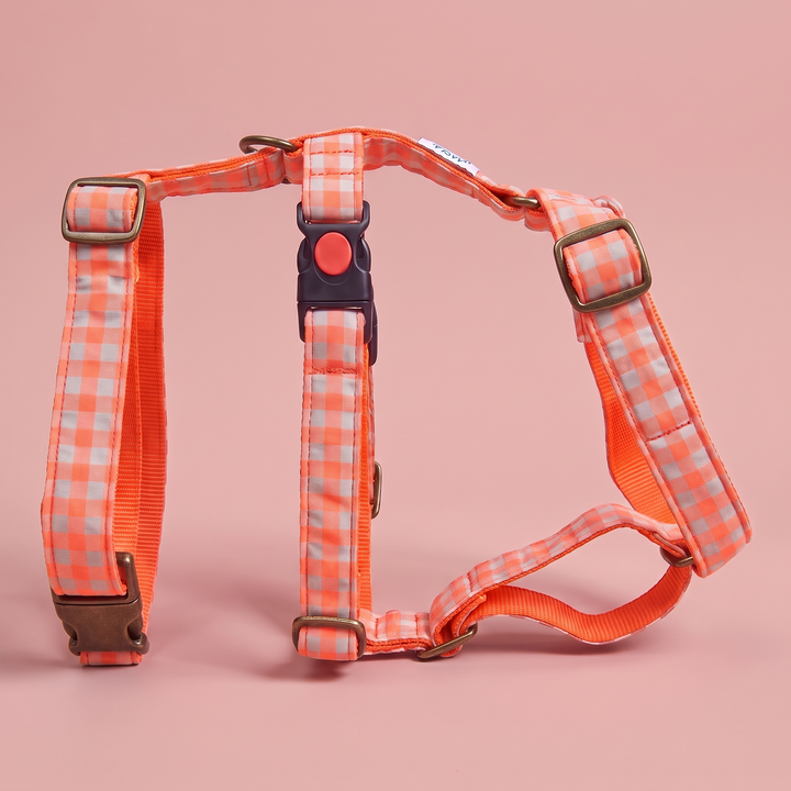 Arnés Galgo Antiescape 3 Puntos Vichy Neon Coral Pop – puesto de pie