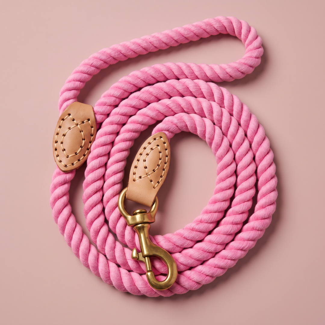 Correa de algodón para perro Rosa del Esla