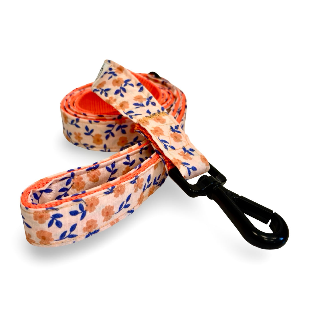 Correa para perro de la col·lección Flores Silvestres con flores naranjas y fondo crema.