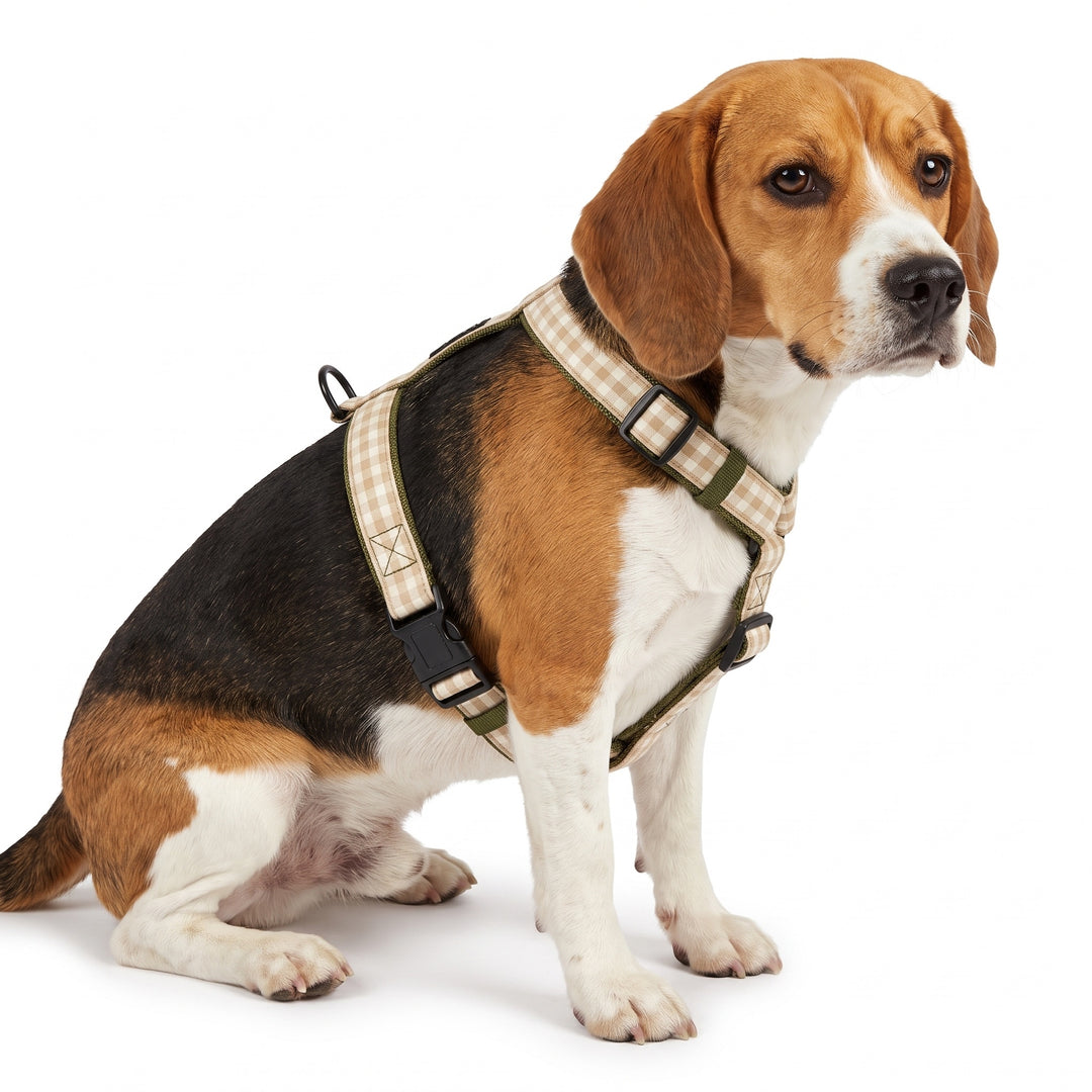 Arnés Regulable Vichy Bruno para Perro | Vetoven