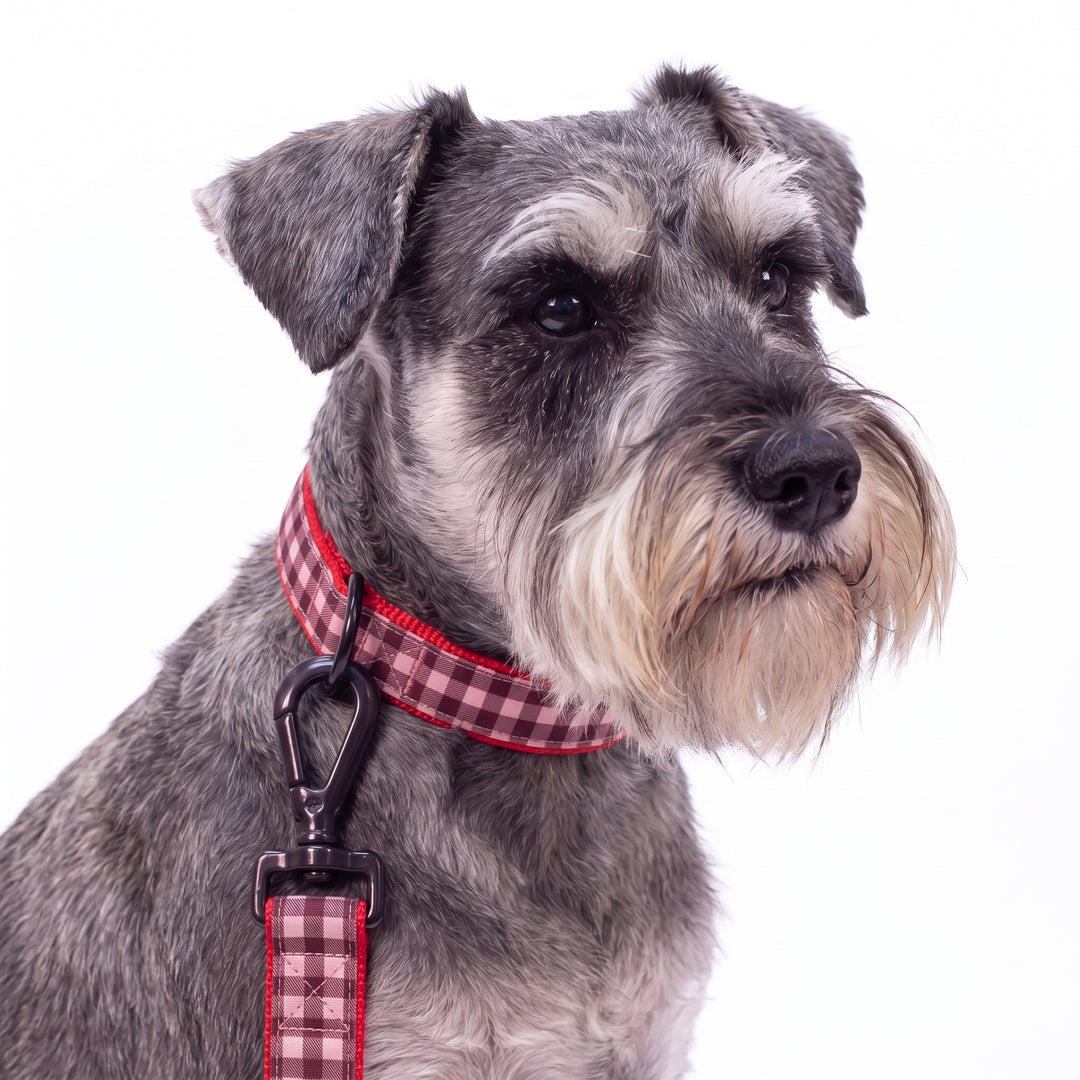 Correa Vichy Cereza para Perro | Vetoven