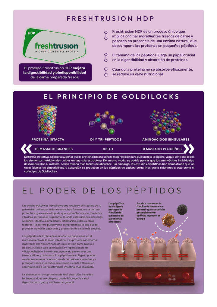 VETOVEN REAL FOOD CUIDADO DIGESTIVO GASTROINTESTINAL - PIENSO PARA GATO- SIN CEREALES Y 100% HIDROLIZADO