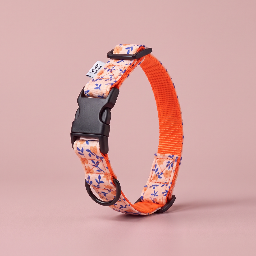Collar regulable artesanal para perro Flor de Albaricoque – cerrado