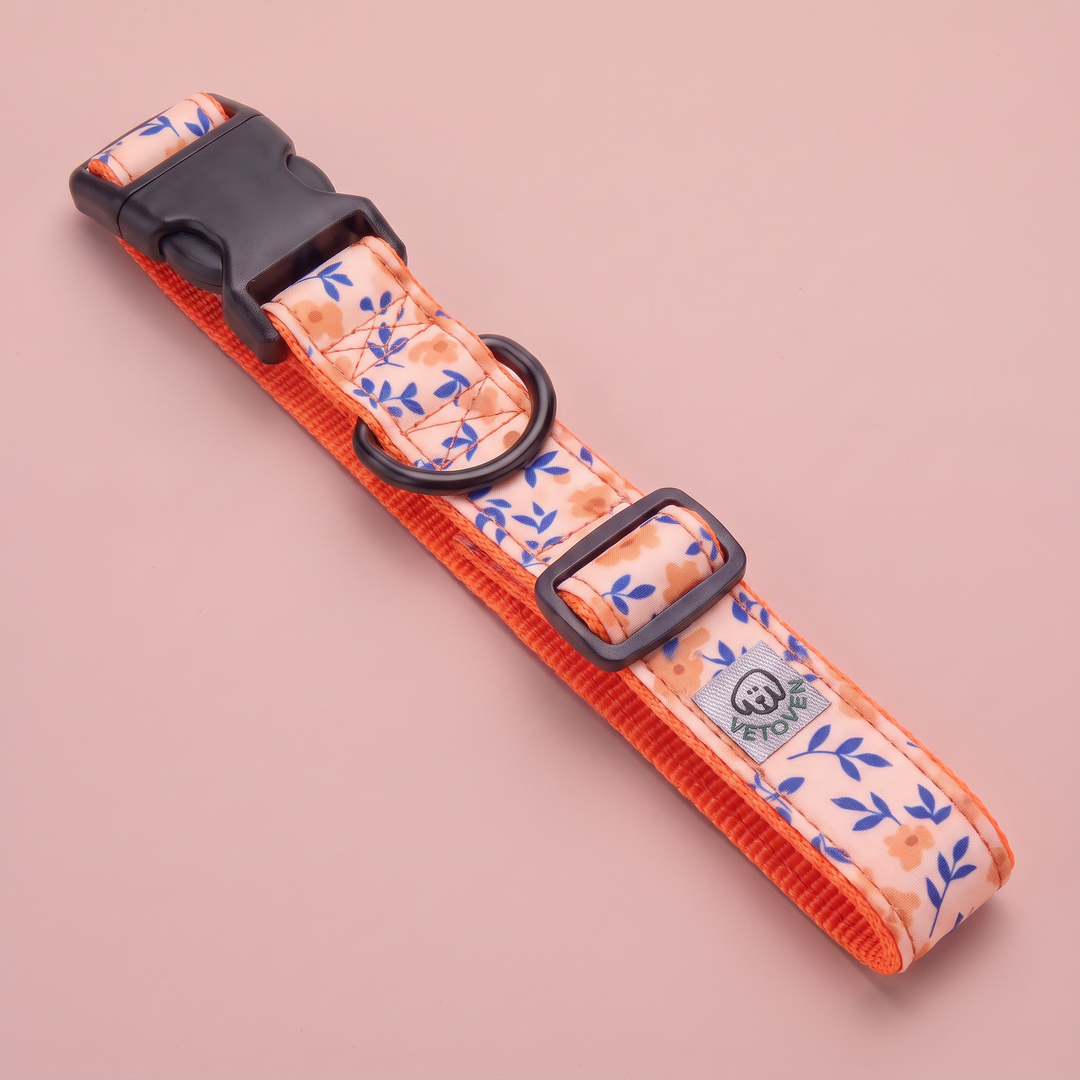 Collar regulable artesanal para perro Flor de Albaricoque – vista plana