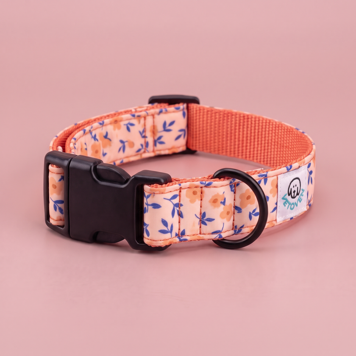 Collar regulable artesanal para perro Flor de Albaricoque