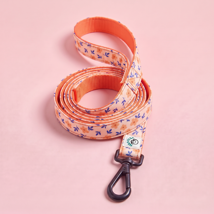 Correa para Perro Artesanal Flor de Albaricoque – enrollada