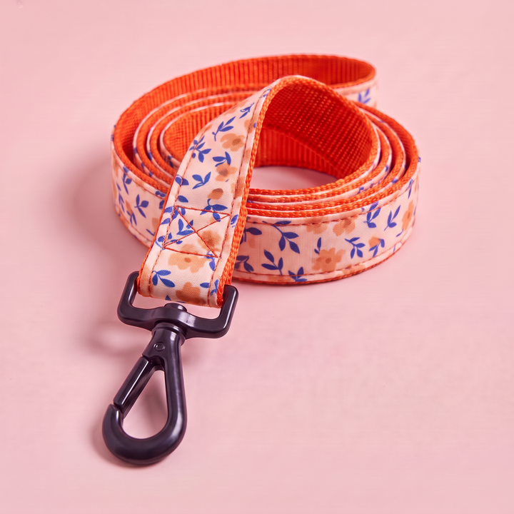 Correa para Perro Artesanal Flor de Albaricoque – detalle del mosquetón