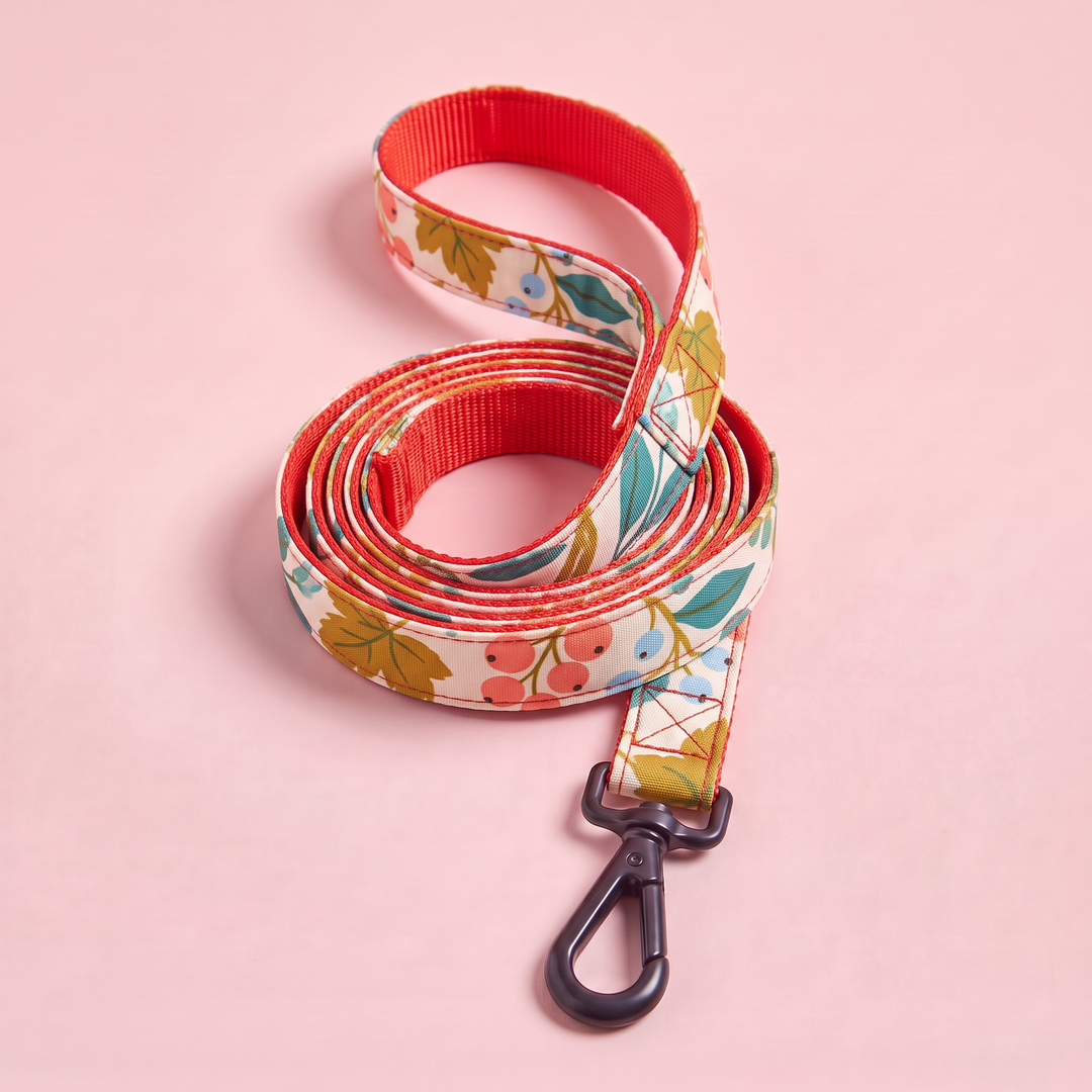 Correa para Perro Artesanal Flor de Grosella – enrollada