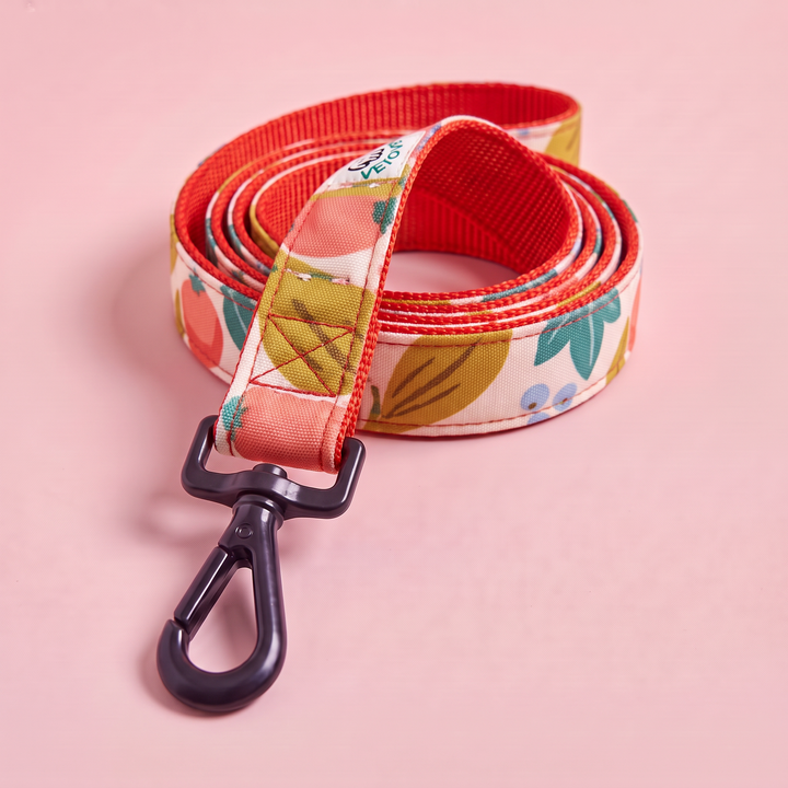 Correa para Perro Artesanal Flor de Grosella – detalle del mosquetón