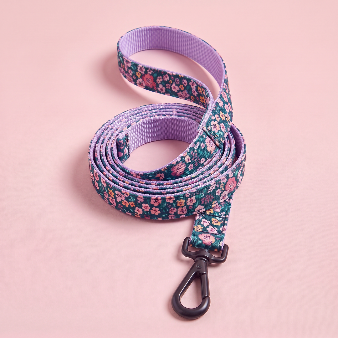 Correa para Perro Artesanal Flor de Jacinto – enrollada