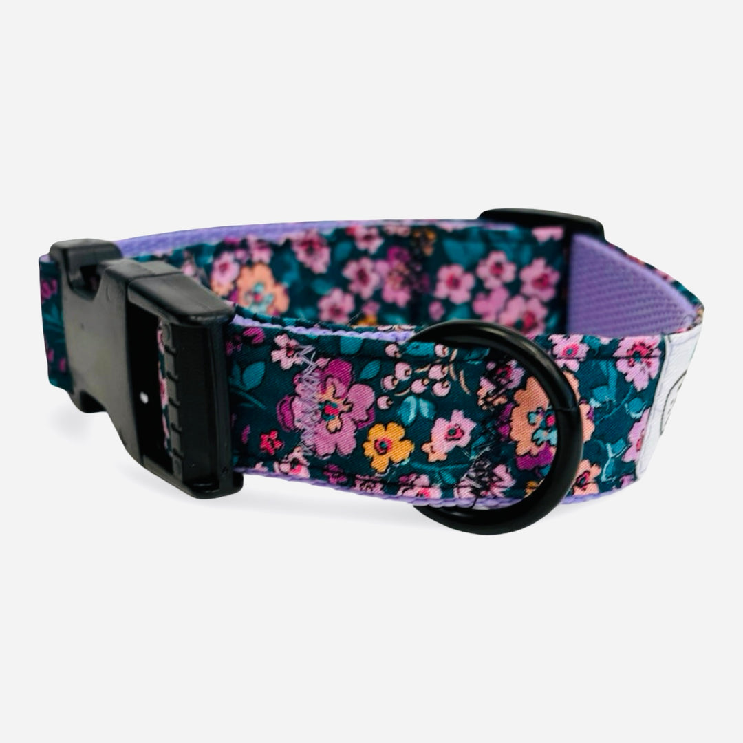 Collar de paseo para perro con forro de malla acolchada transpirable en color violeta lavanda.