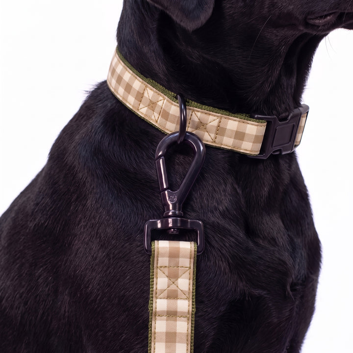Correa Vichy Helecho para Perro | Vetoven