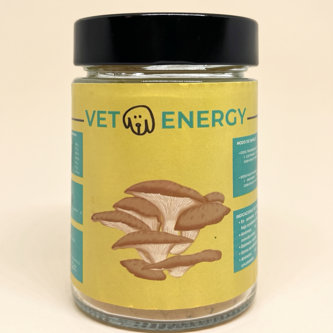 VetoEnergy complemento de hongos para perros y gatos