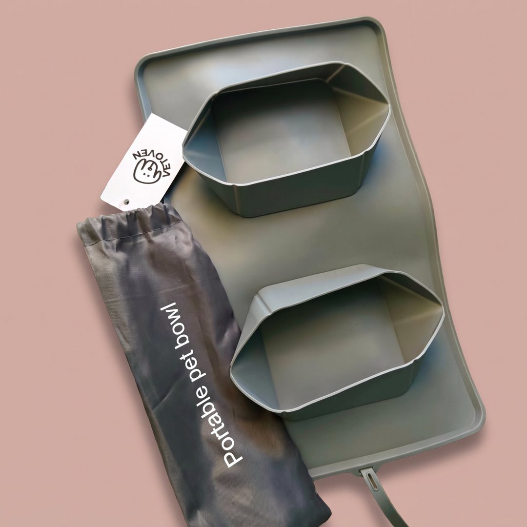 Bebedero plegable de silicona para perros con funda