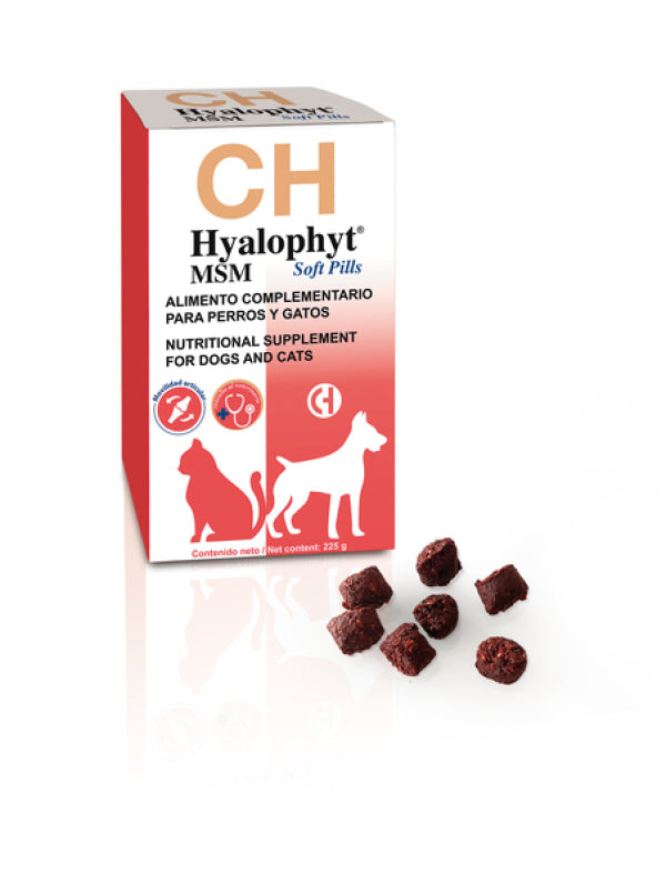 Hyalophyt MSM – Condroprotector con Ácido Hialurónico y MSM para Articulaciones