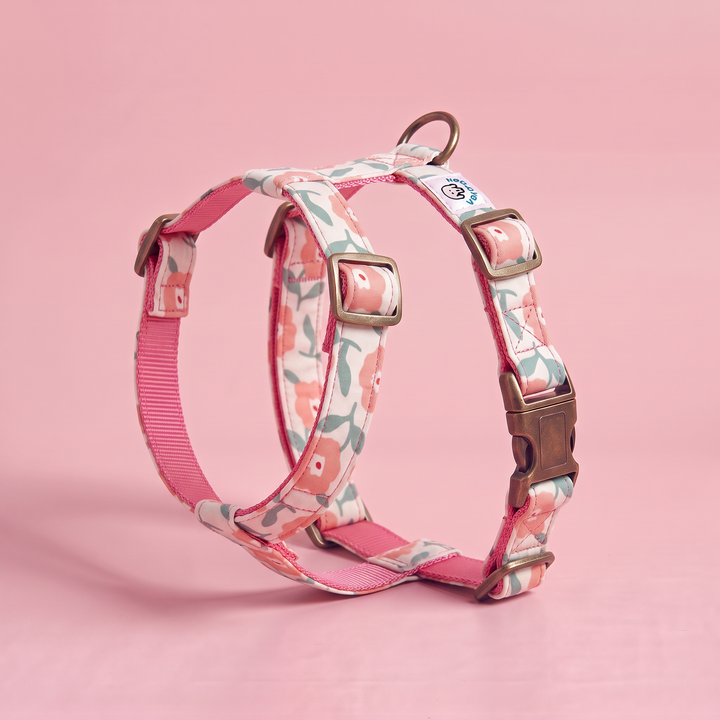 Arnés para Perros Jardín de Rosas – Colección Jardín de Verano – puesto de pie