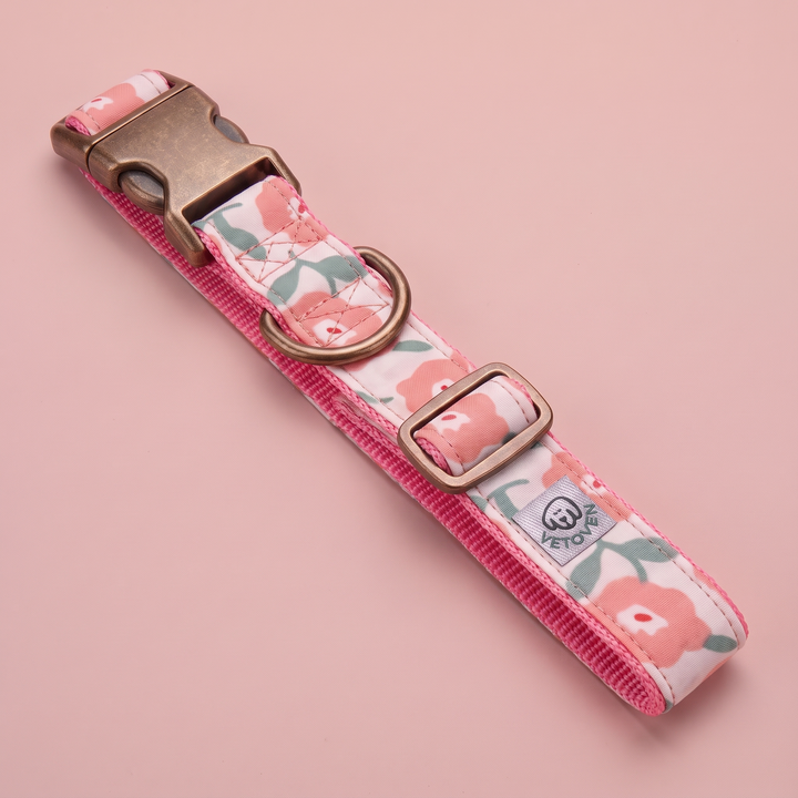 Collar para Perros Jardín de Rosas – Colección Jardín de Verano – vista plana
