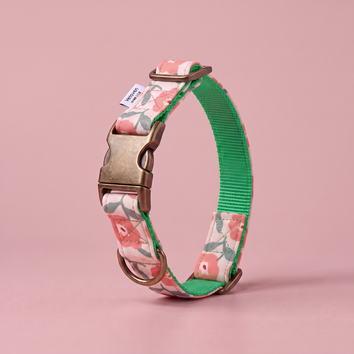 Collar para Perros Jardín de Rosas – Colección Jardín de Verano – nylon verde, cerrado
