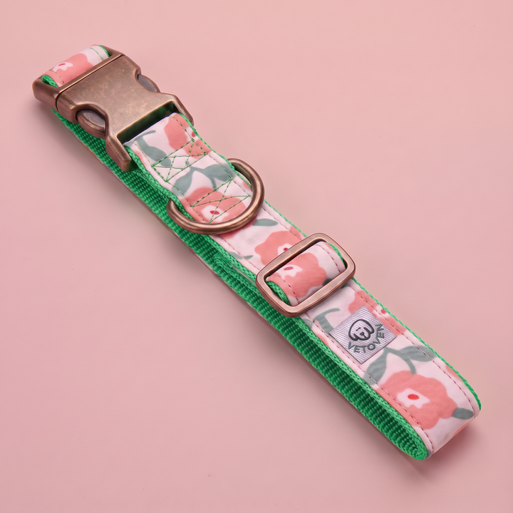 Collar para Perros Jardín de Rosas – Colección Jardín de Verano – nylon verde, vista plana