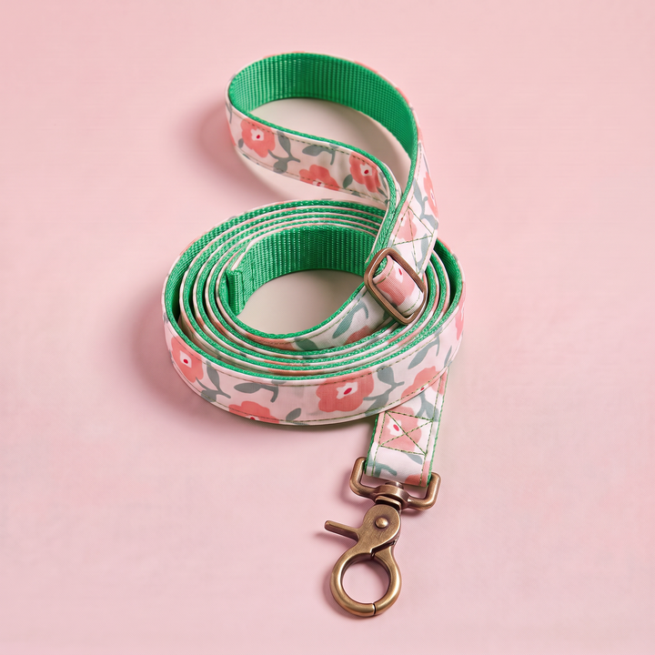 Correa para Perros Jardín de Rosas (150 cm) – Colección Jardín de Verano – nylon verde, enrollada