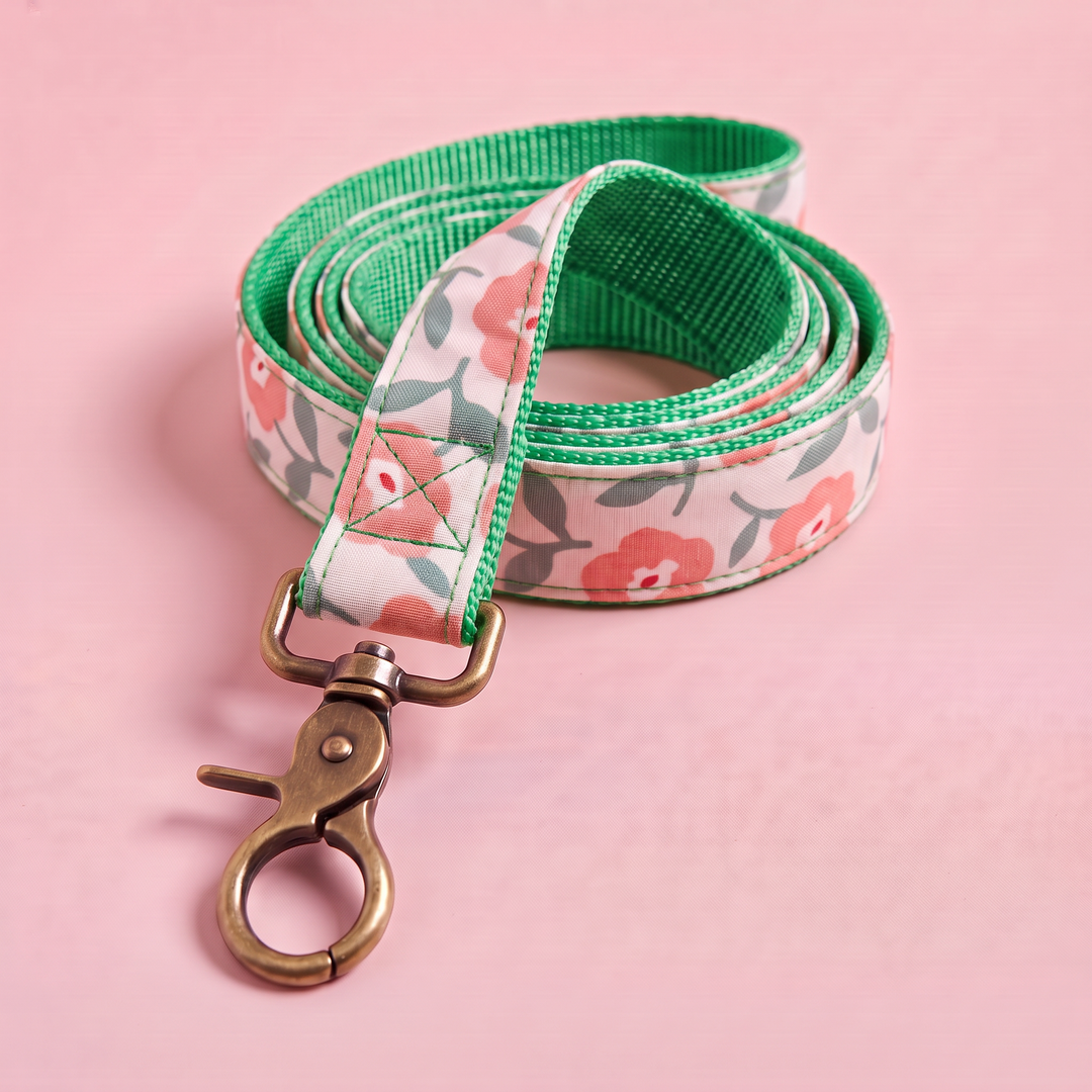 Correa para Perros Jardín de Rosas (150 cm) – Colección Jardín de Verano – nylon verde, detalle del mosquetón