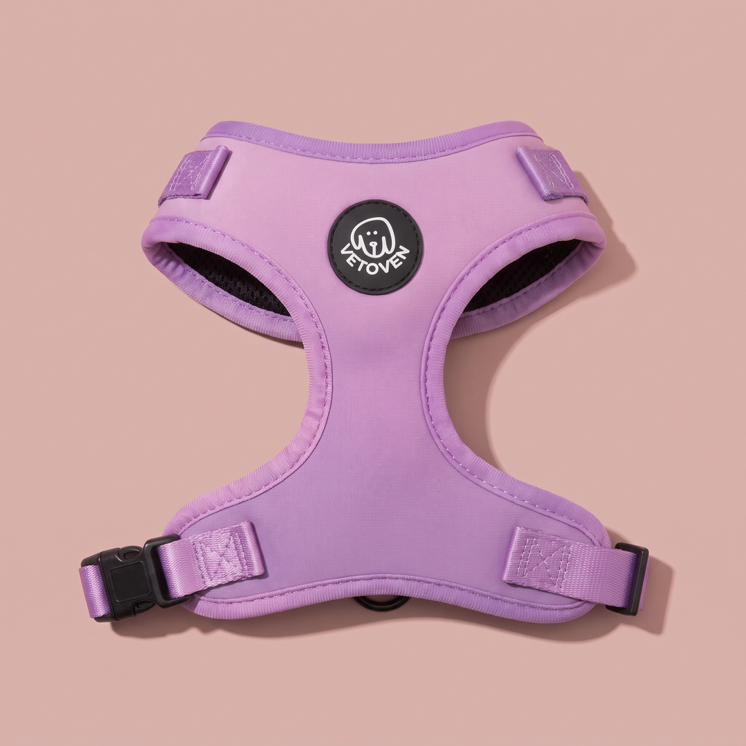 Arnés para perro Lavanda Vetoven – Colección Primavera